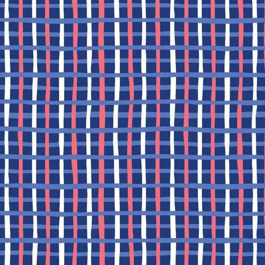 Patriotic Plaid from Cloud 9
