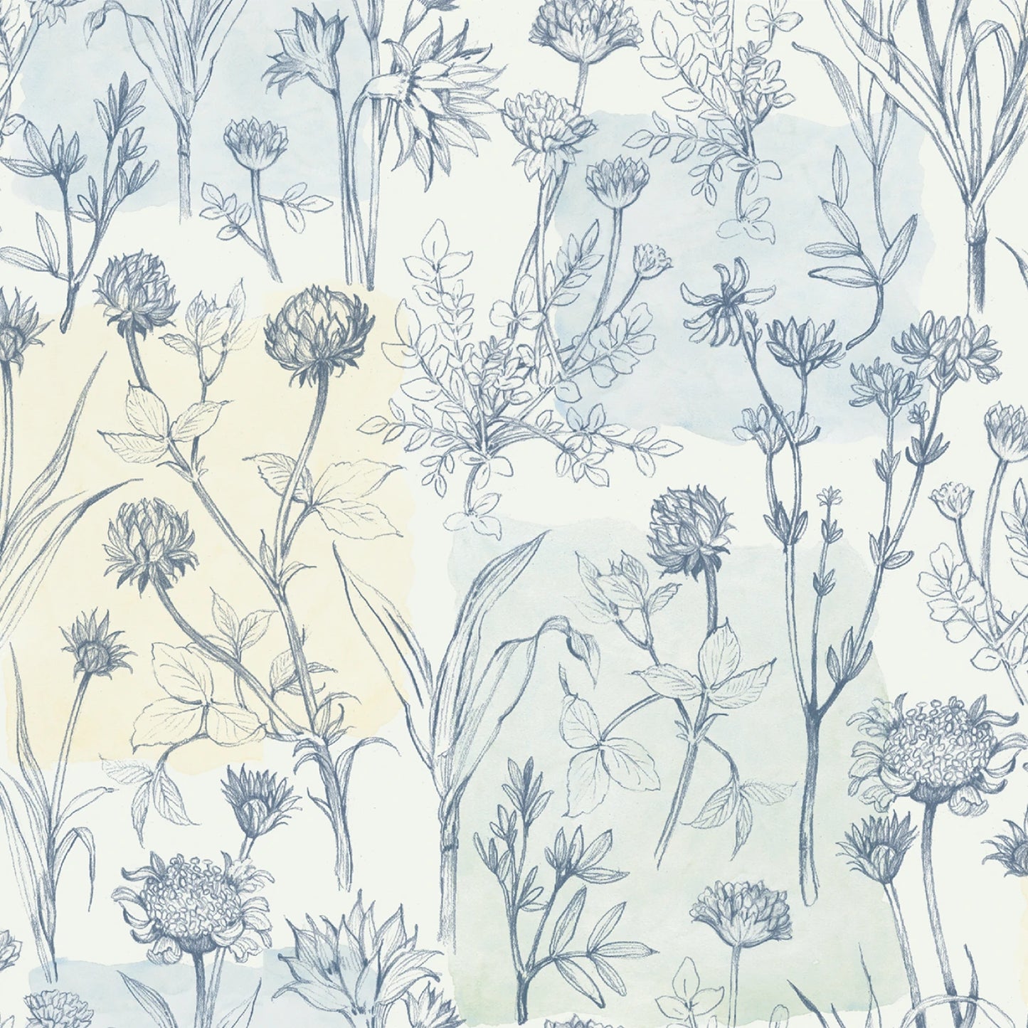 Botanical pattern with flowers and leaves on a light blue background