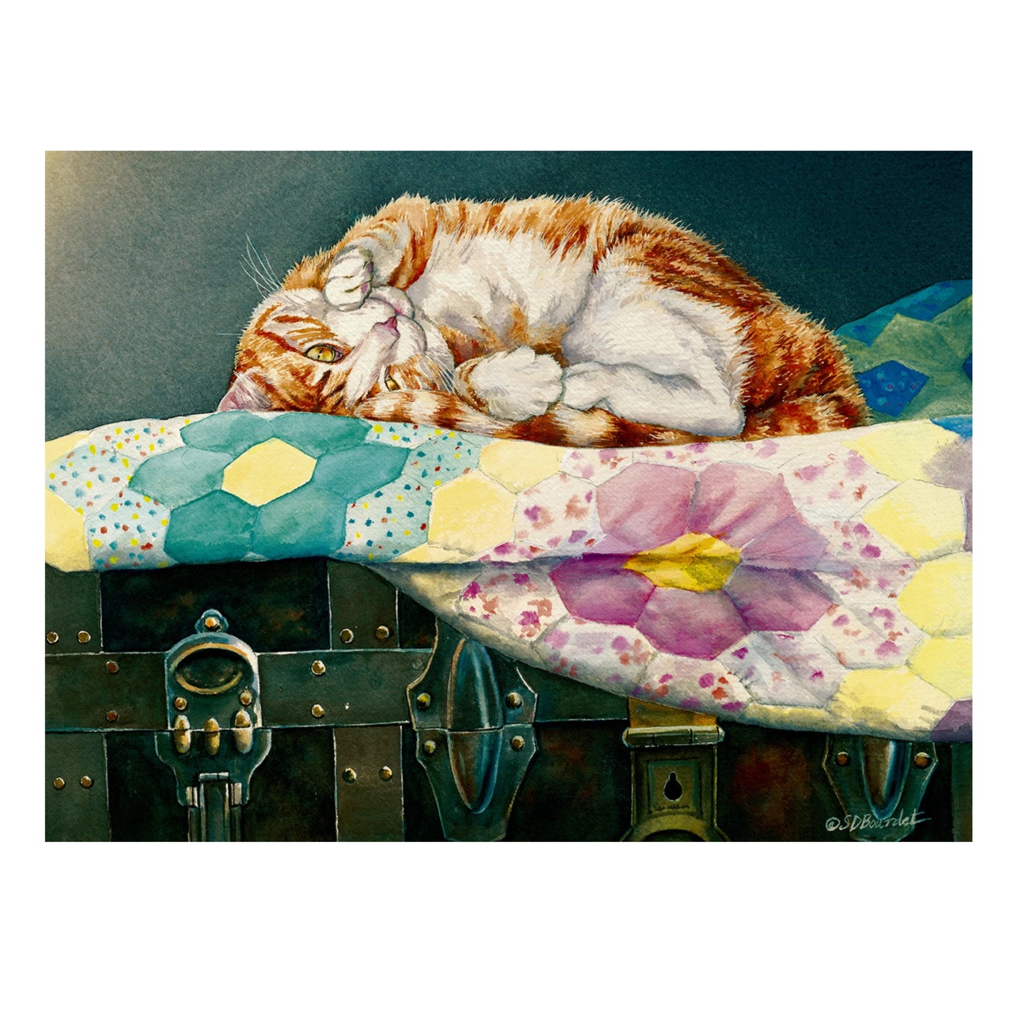 Comfortable Cat Puzzle