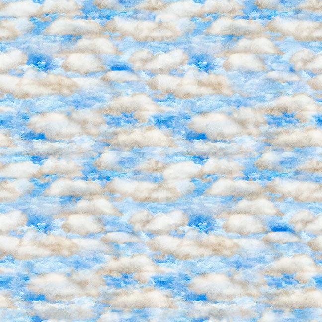 Sky, from QT Fabrics