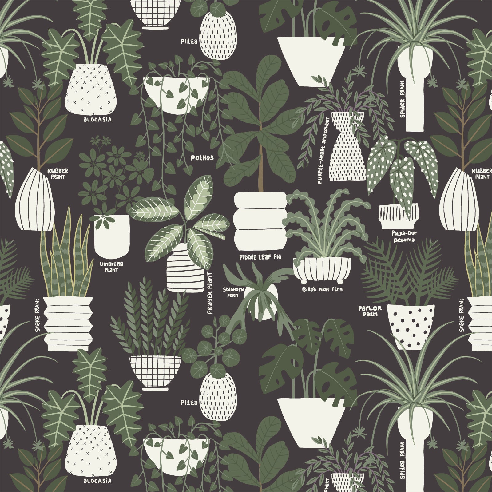 Inner Growth by Cloud 9 fabric swatch