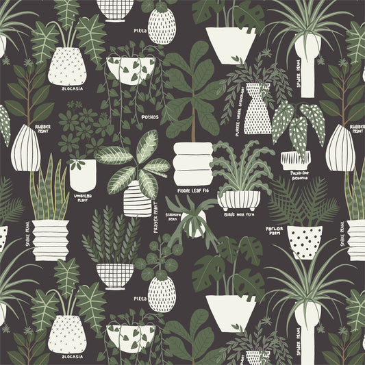 Inner Growth by Cloud 9 fabric swatch