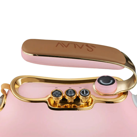 View of Buttons and Dials on Salav Iron