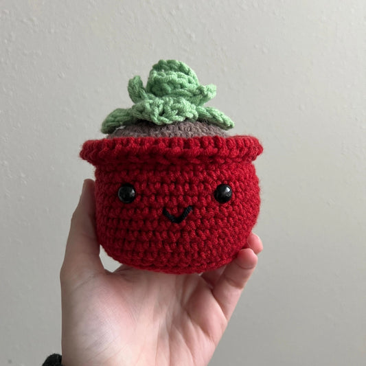 Fern the Succulent finished crochet project