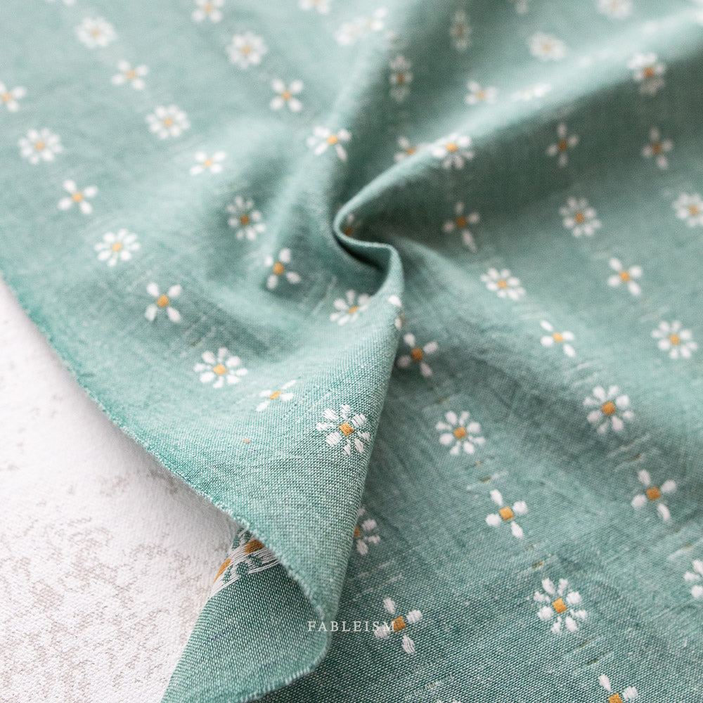 Daisies in Spring