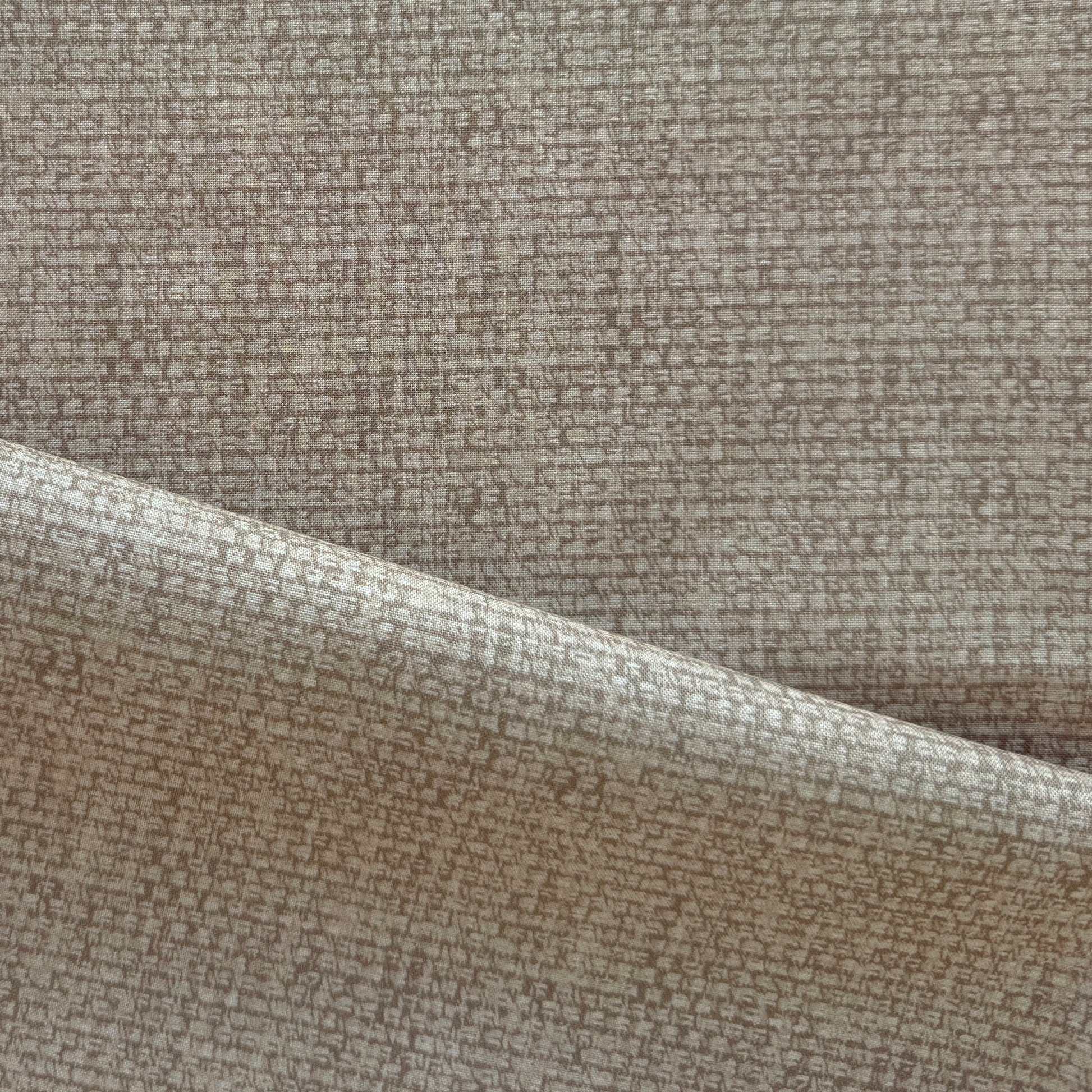 Hollin in Pine Nut from Cloud 9