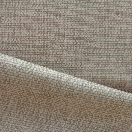 Hollin in Pine Nut from Cloud 9