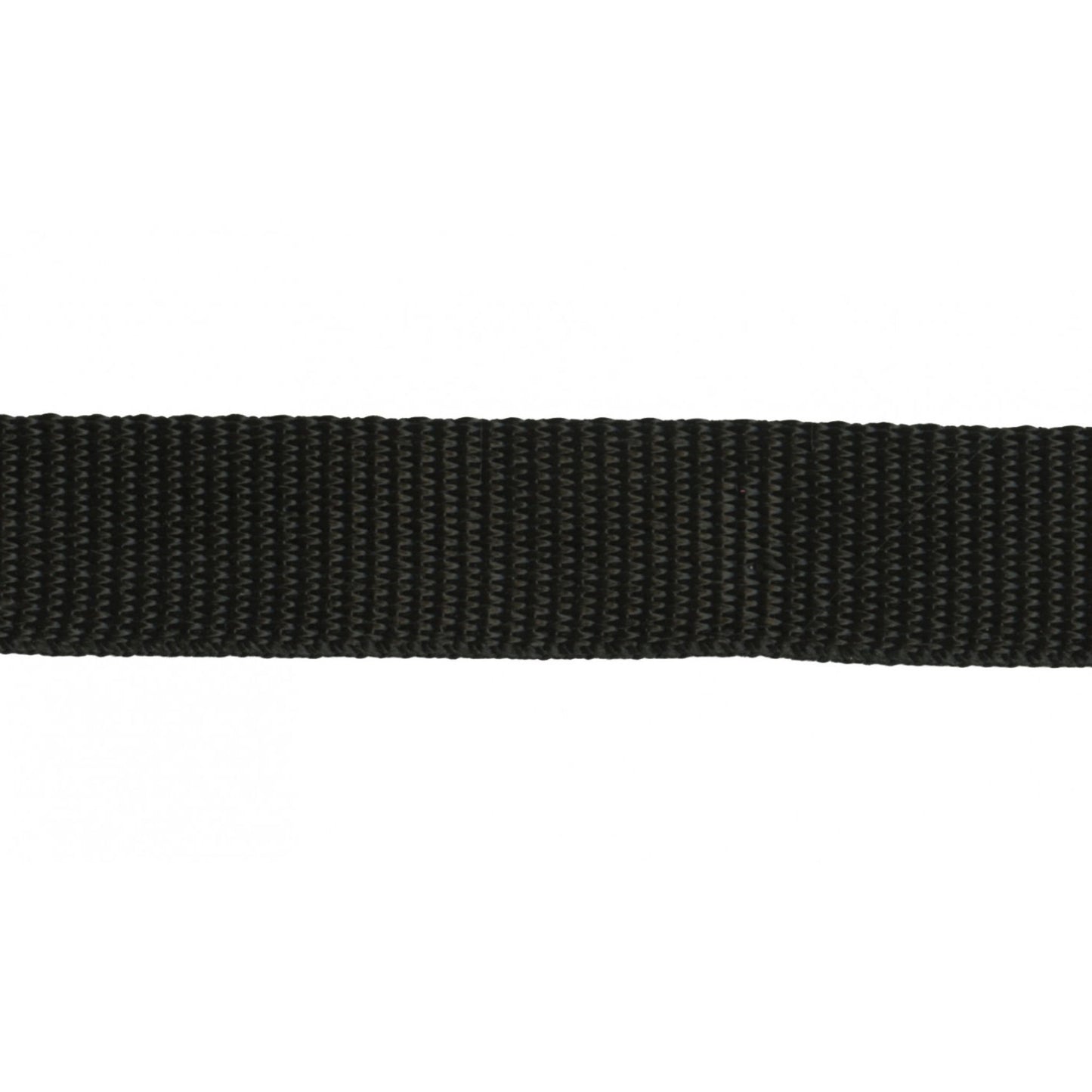 Polyester 1 inch webbing in black
