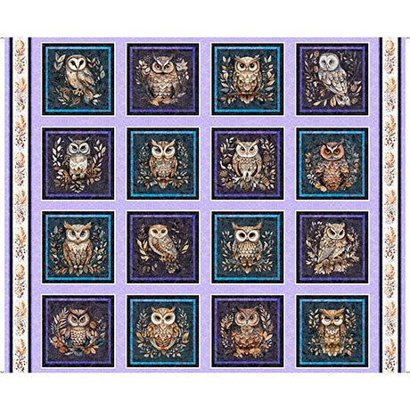 Night Owl Picture Patches
