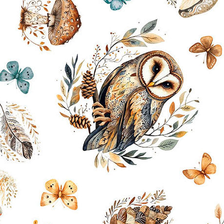 Owls on White background
