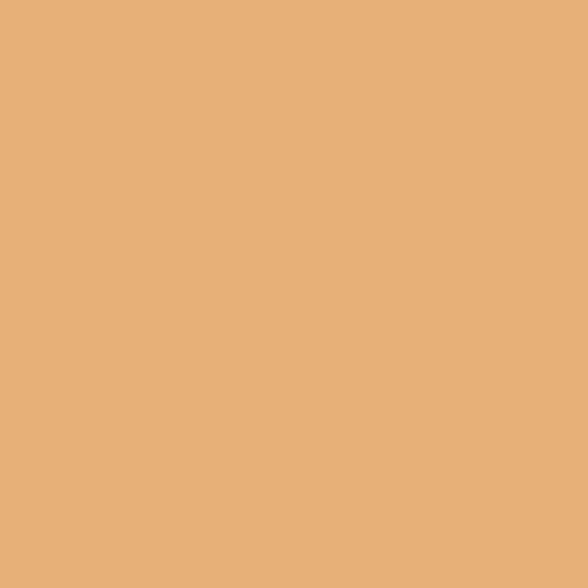 Brownish Yellow Color Swatch
