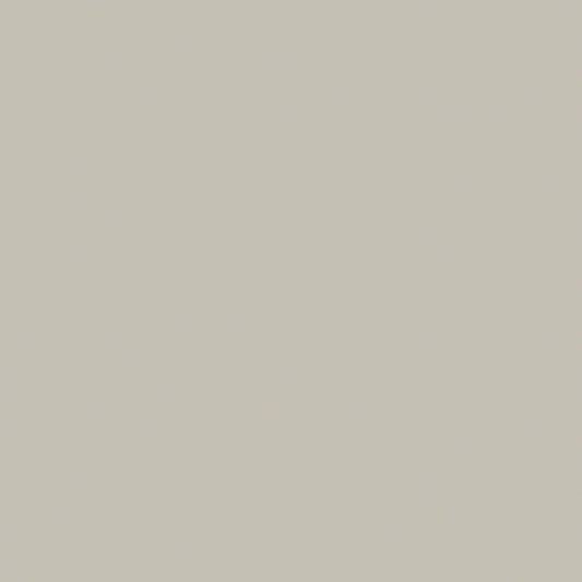 Light Gray color swatch