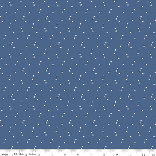 Blue fabric with small white star pattern and a ruler at the bottom for scale.