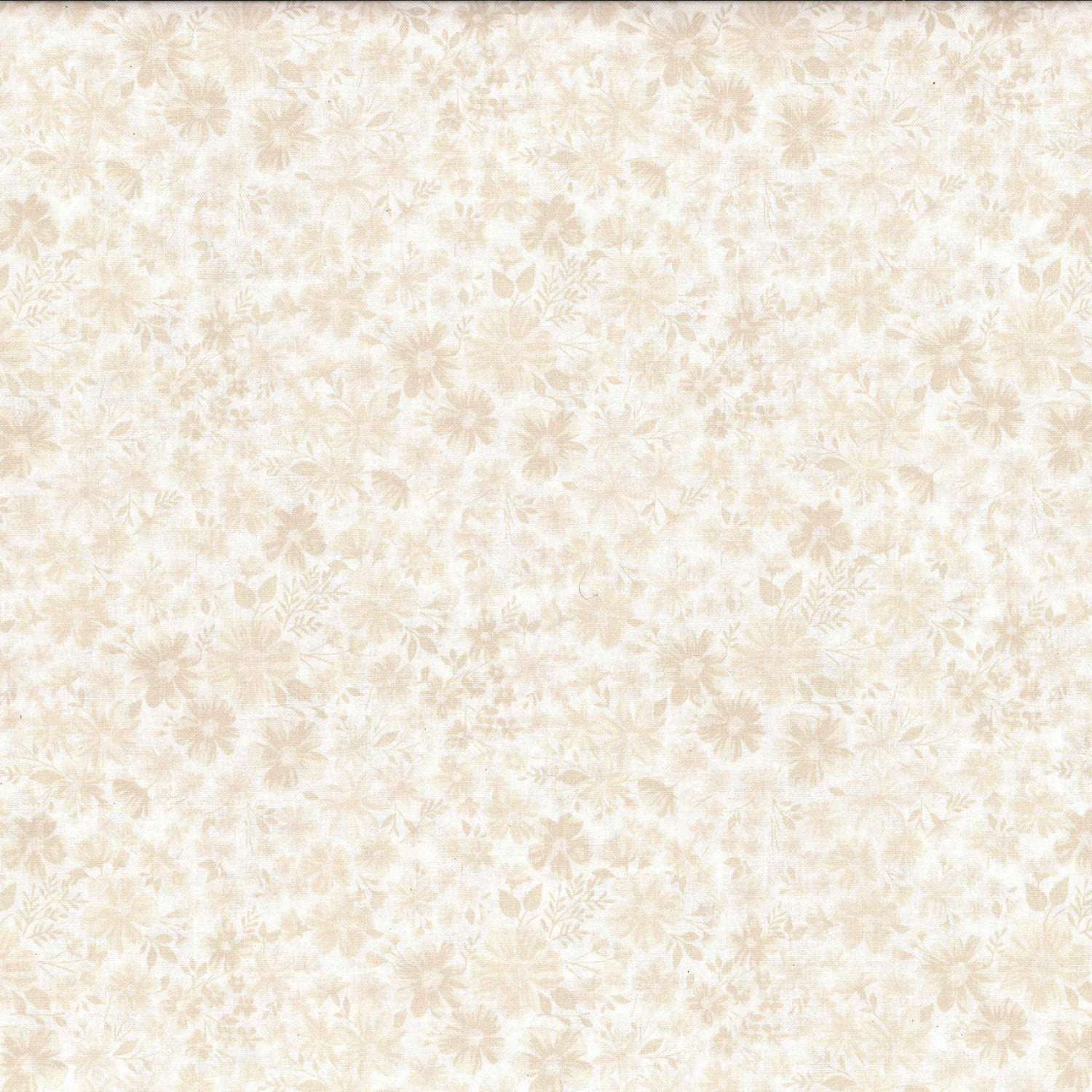 Calico Collections Beige