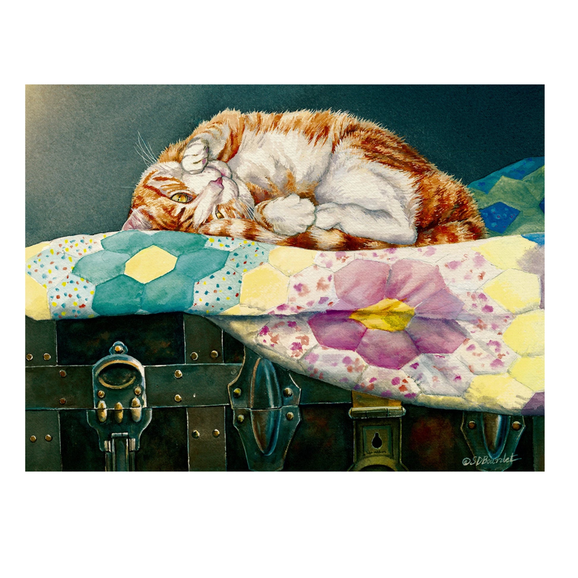 Comfortable Cat Puzzle