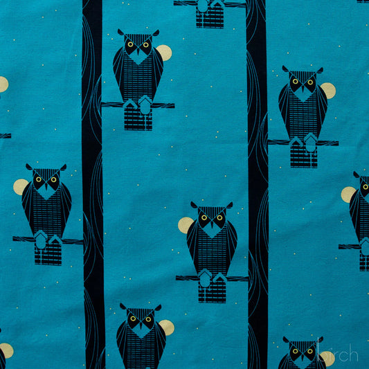 Moon Owl Canvas thumbnail