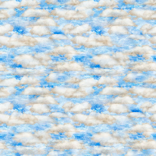 Sky, from QT Fabrics
