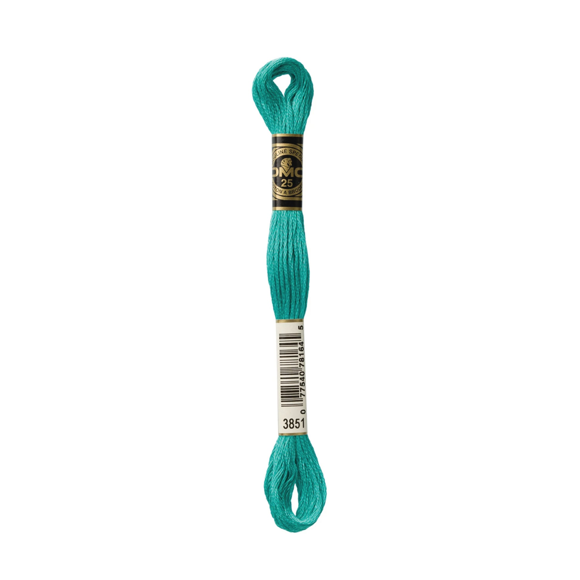 Light Bright Green 3851 Six Strand Embroidery Floss from DMC
