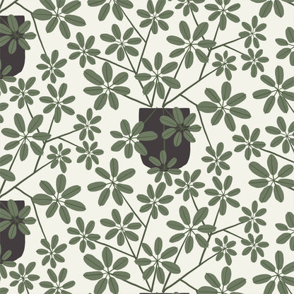 Offshoot by Cloud 9 fabric swatch