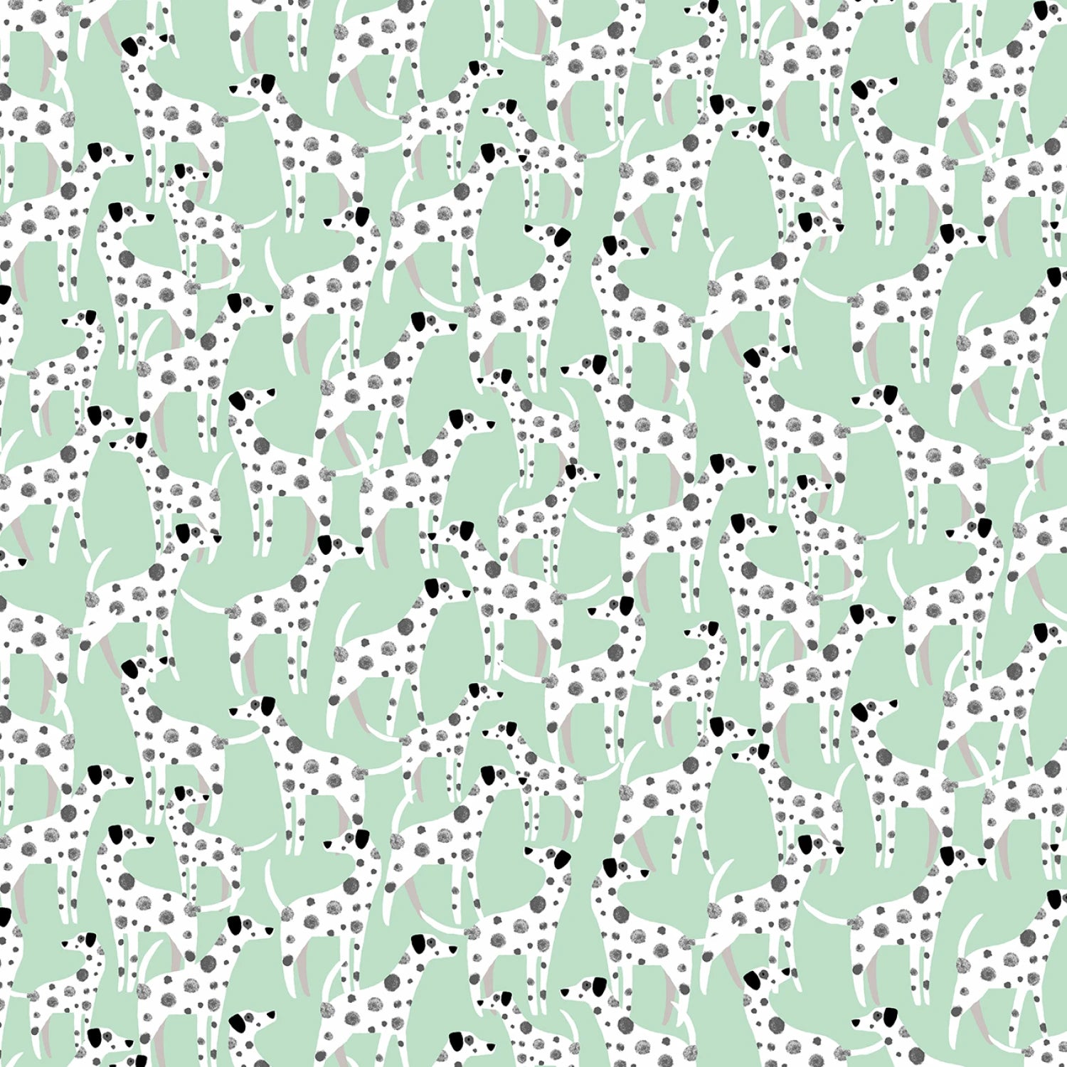 Dalmations on Mint Background