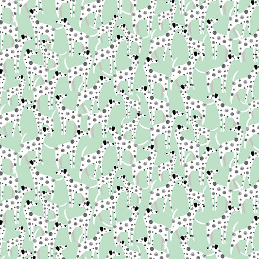 Dalmations on Mint Background