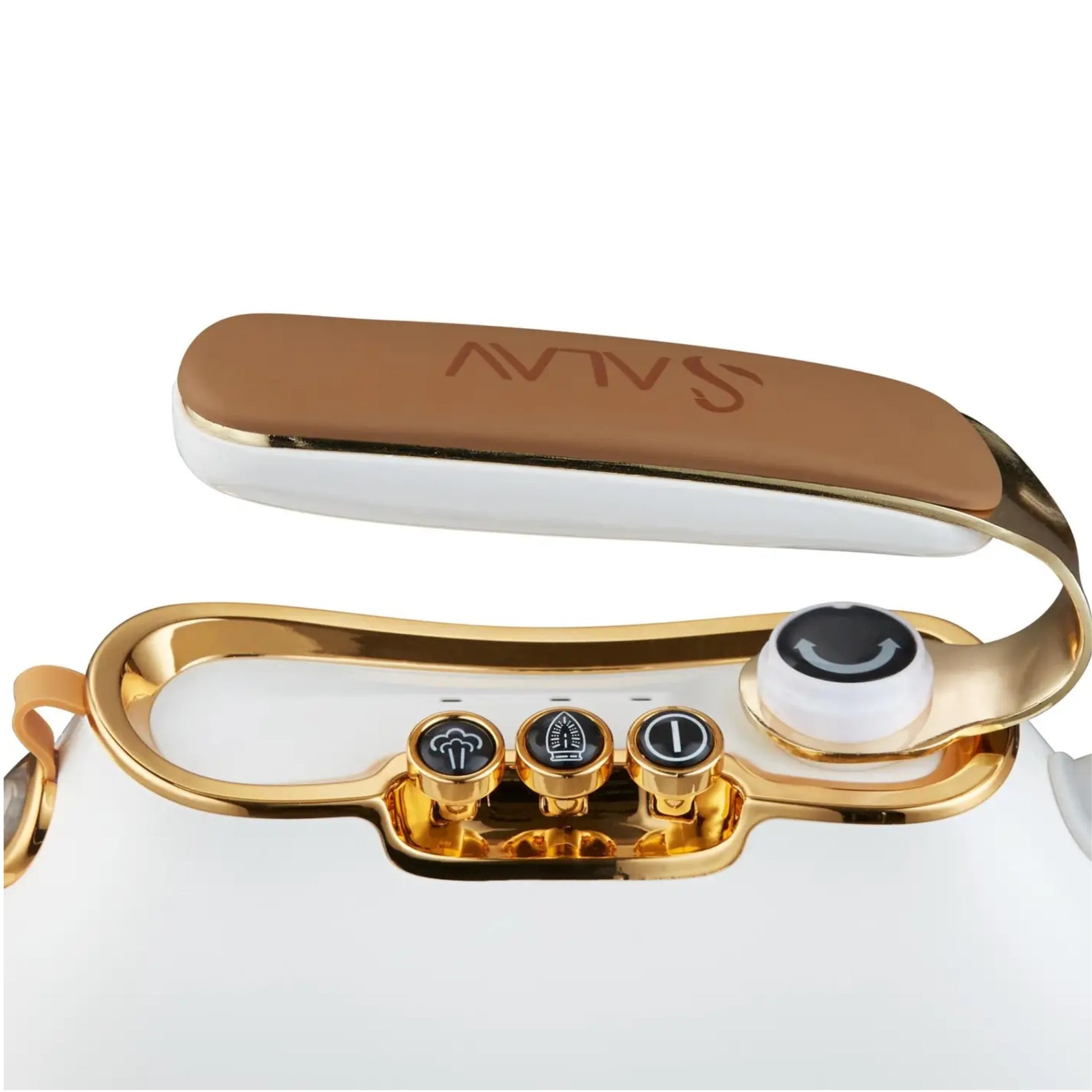 View of Button and Dials on White Salav iron