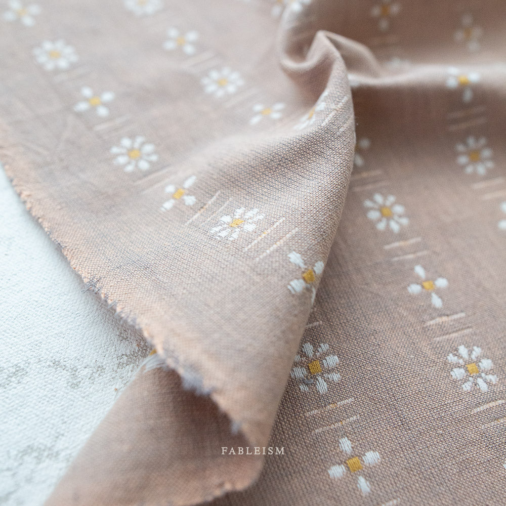 Daisies in Dove